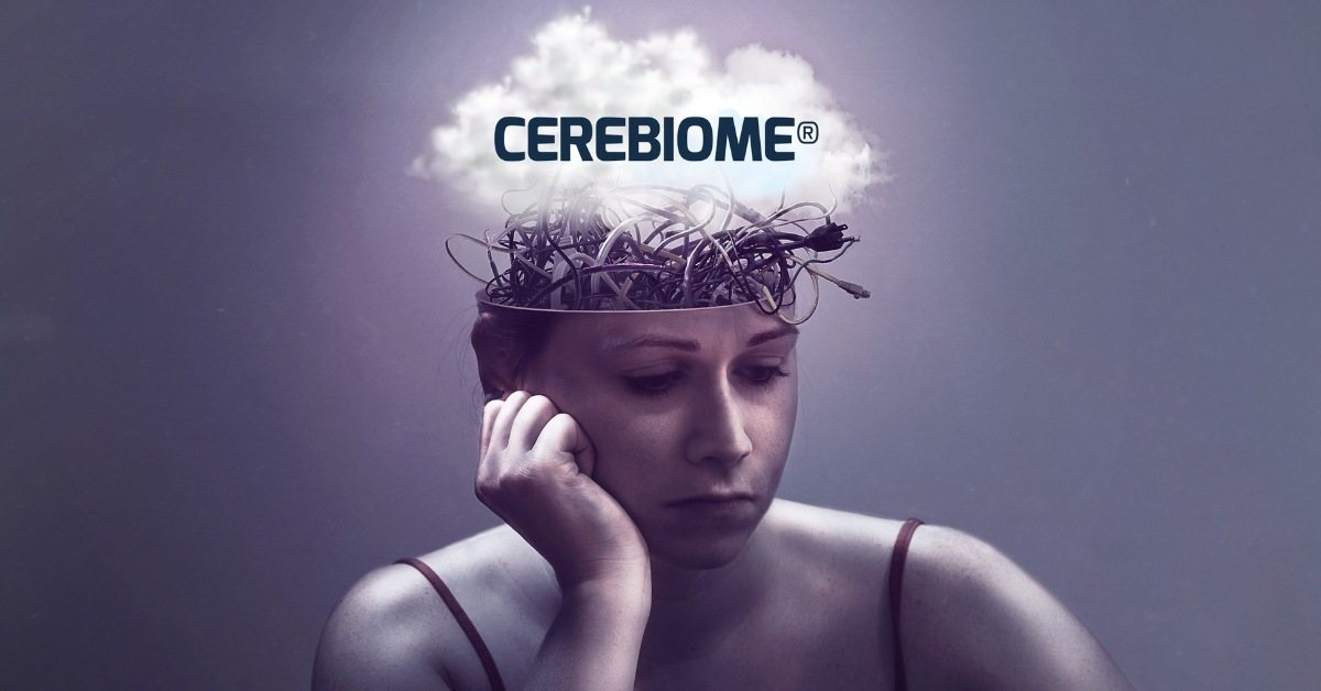 A menopauza agyi ködje - Mi történik az agyban, amikor az ösztrogén csökken?