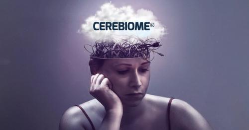 A menopauza agyi ködje - Mi történik az agyban, amikor az ösztrogén csökken?